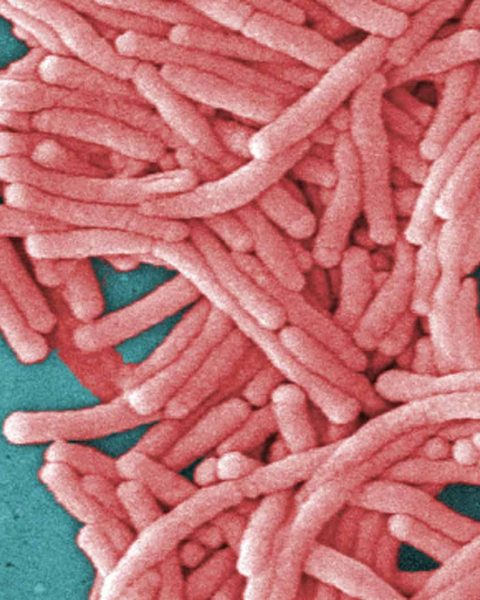 Legionnaires' Disease Outbreak Hits Toronto- What Residents Should Know