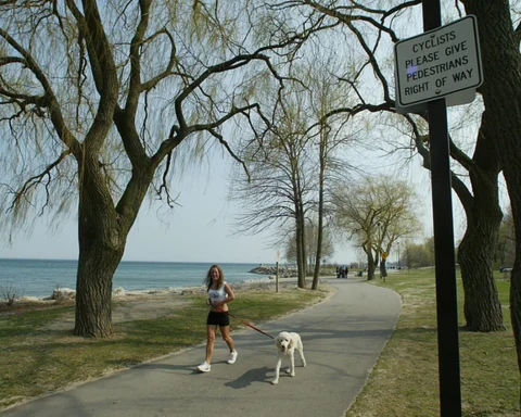 Woman Dead After Being Swept Into the Water at Mississauga Park