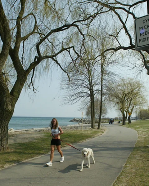 Woman Dead After Being Swept Into the Water at Mississauga Park