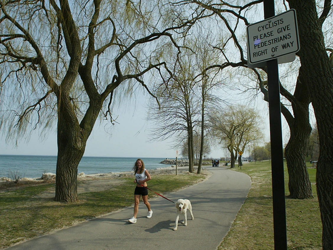 Woman Dead After Being Swept Into the Water at Mississauga Park